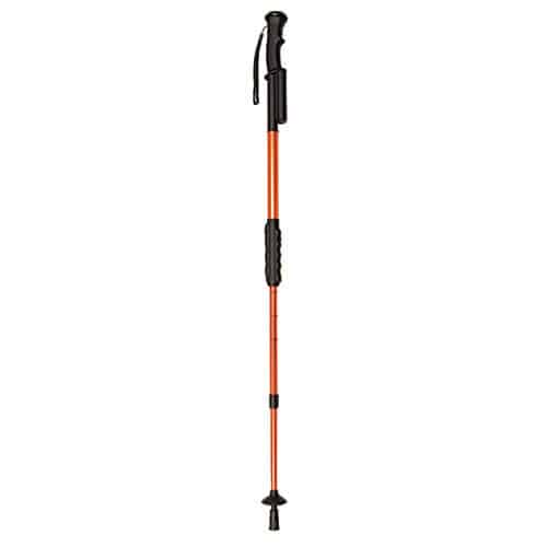 Stun walking staff with mud guard